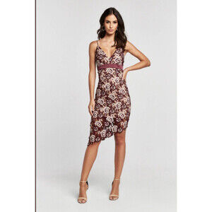 Bardot women's Dalia Lace Bodycon Dress Size 6 / S